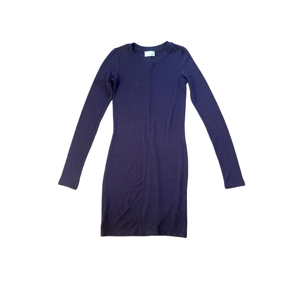 Women XXS Aritzia Wilfred Free Purple Long Sleeved Shirt Dress Crewneck Shift